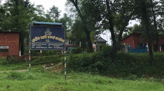 news